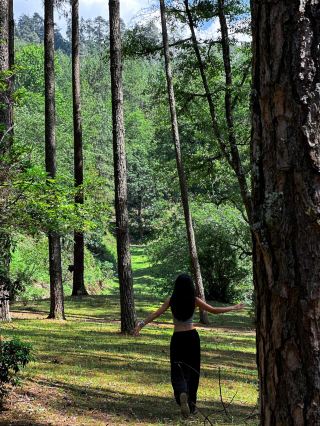 Dali Baocang Campsite - Dalangba