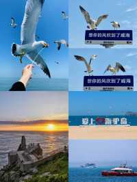 海驴島旅遊指南如何拍出大片級照片？
