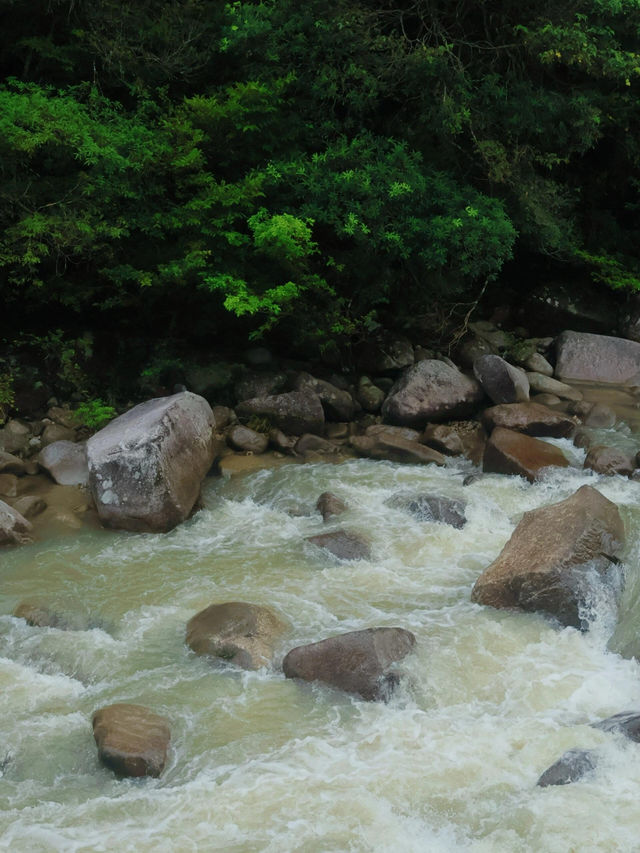 郴州桂東•國慶反向旅遊勝地。