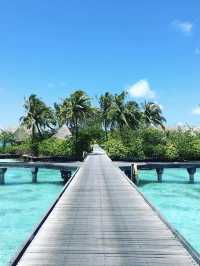 呼拉島：夏威夷的隱世天堂。