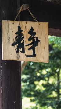 梅花洲怎麼變成綠野仙蹤了。