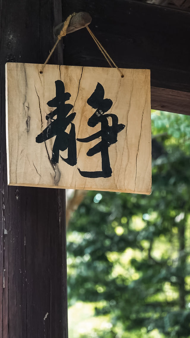 梅花洲怎麼變成綠野仙蹤了。