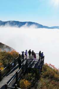 2024阿爾山之秋•9月22日同心天池秋色初起漸入佳境。