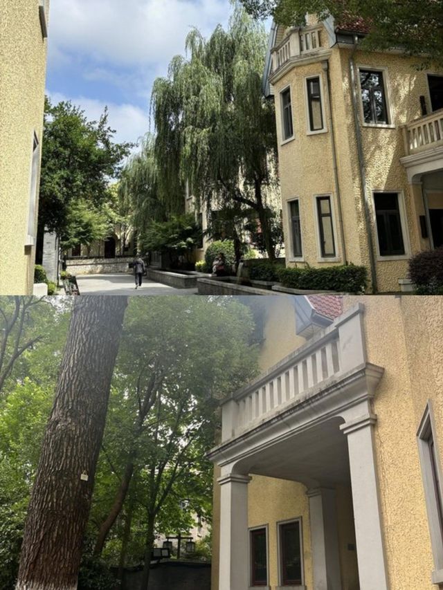 重生之回到民國當名流|羅萊夏朵·頤和公館。