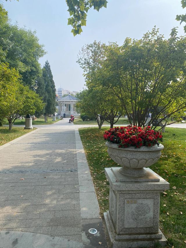 天津中心公園 | 我找到了法國電影裏的秋天。