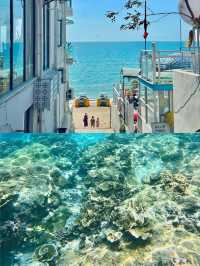 來都來了！！三亞這家270°海景餐廳一定要去。