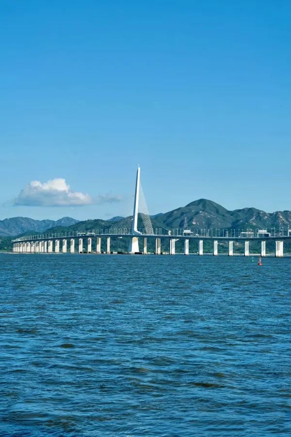 深圳灣公園⛲️怎么玩❓—-超詳細攻略奉上📜