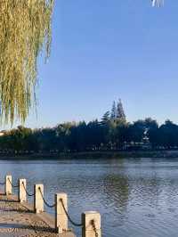 水韻濠河，柔美如詩——濠河風景區的醉人風光