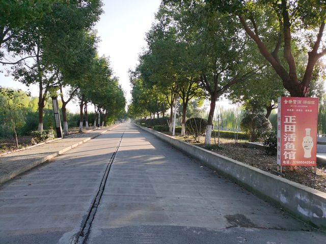 焦崗湖小記。