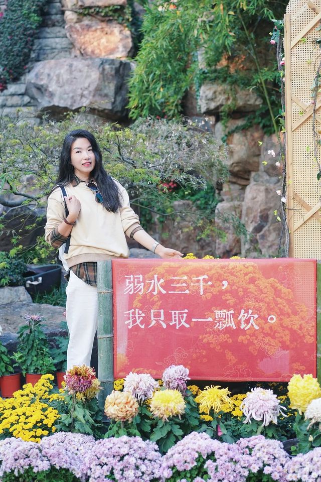 這個秋天，不如來一次常熟吧？。