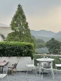 來杭州！一定要住山景民宿喝個下午茶……。