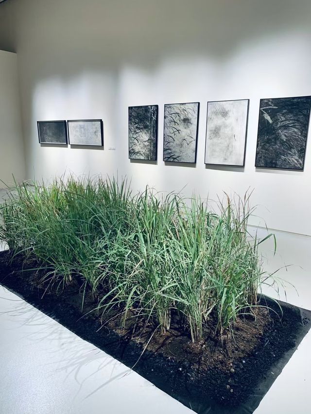 七寶免費看展,上海青年藝術博覽會。 七寶免費看展,上海青年藝術博覽會。