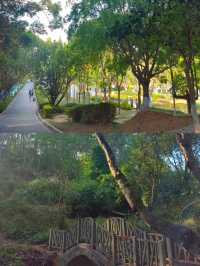 普洱梅子湖公園。
