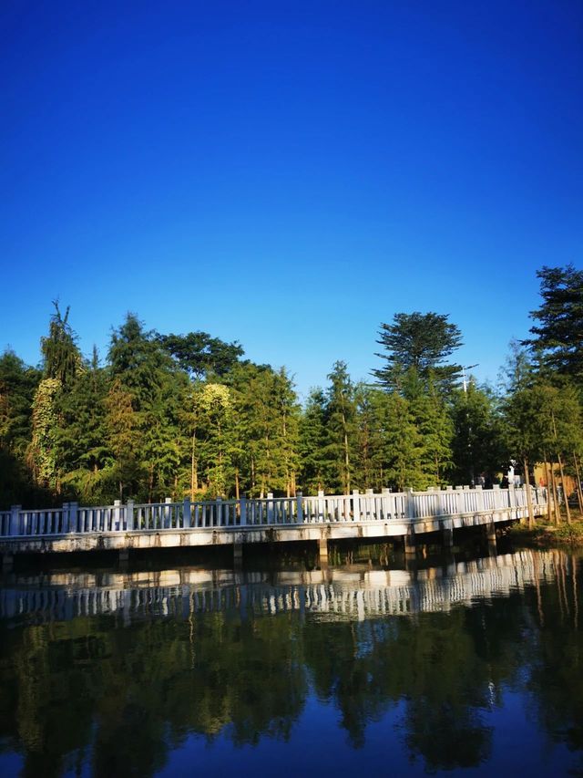 就在廣州，有一個可與大理媲美的地方，露營、野餐、釣魚、騎行。