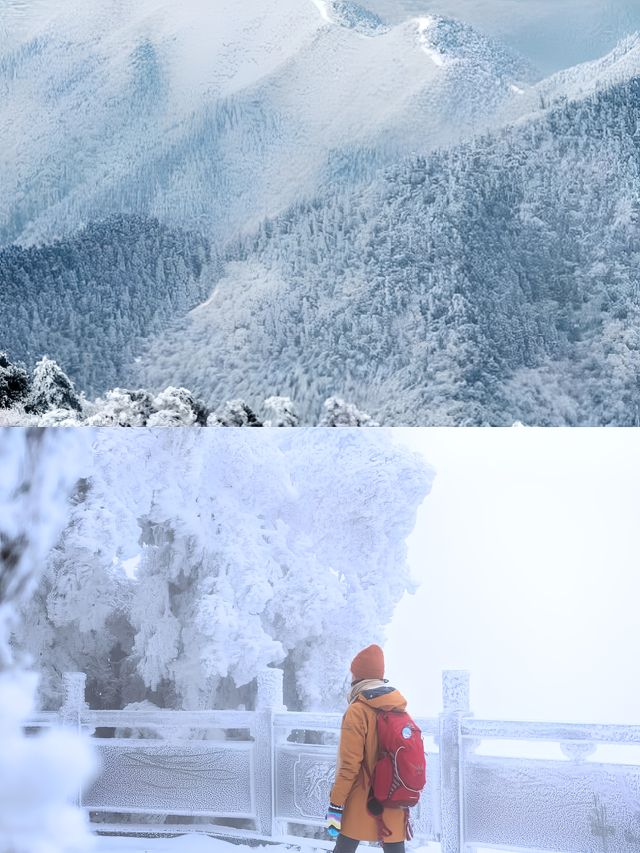 不是哈爾濱去不起，是南嶽衡山更有性價比。