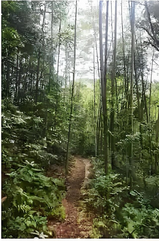 不去九寨溝，就來飛水寨，歸去不看水！。