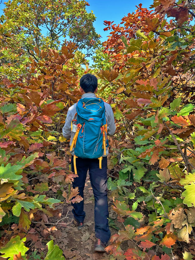 秦嶺賞秋｜別去圭峰山，來這裡吧。