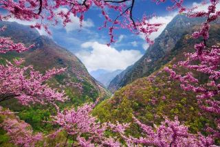Hida City: A Poetic Retreat in the Mountains