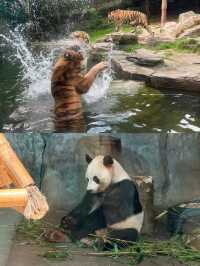 深圳｜野生動物園