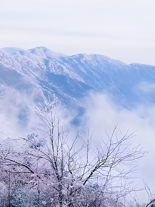 深圳出發2小時，高鐵直達看雪景