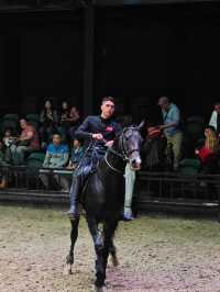 烏魯木齊‖汗血寶馬基地一定要去！