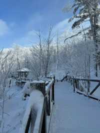 哈爾濱-雪鄉-長白山｜6天元旦深度遊 玩轉冰雪世界