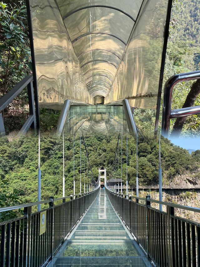 衢州·藥王山｜探秘神農秘境，暢享自然瑰寶