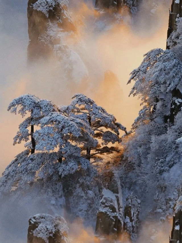 黃山霧凇：冬日仙境的冰雪奇緣