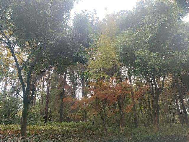 重慶雲水渡橋一日遊