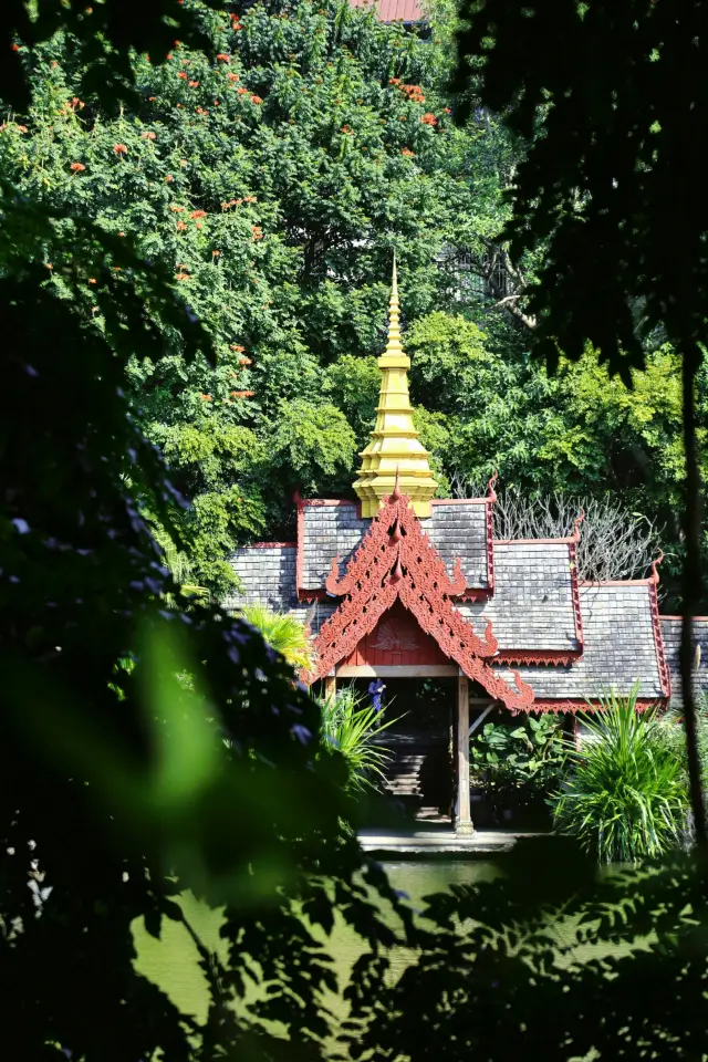 สิบสองปันนา: ดินแดนแห่งเสน่ห์อันไร้ขีดจำกัด