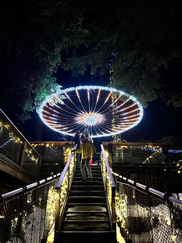 Visit Capilano Suspension Bridge Park's Light Show Before It Ends