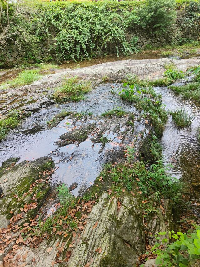 3天暢遊溫州 熱門景點一網打盡