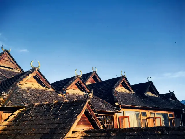 A warm winter getaway for the Spring Festival: Jingmai Mountain