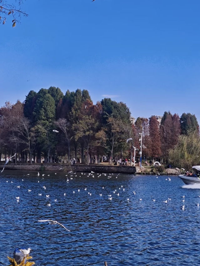 來昆明，不來大觀公園，必後悔