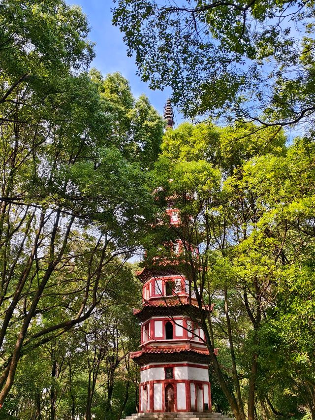 新余抱石公園