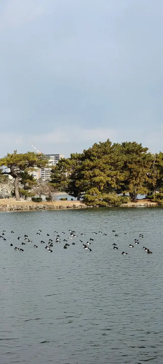 สวนสาธารณะโอโฮริและปราสาทฟุกุโอกะ