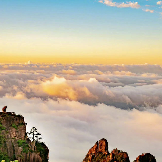 Visit Huangshan Mountain ⛰️ 🏔️ 