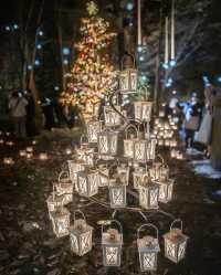 Experience the Magic of Christmas at Karuizawa Kogen Church