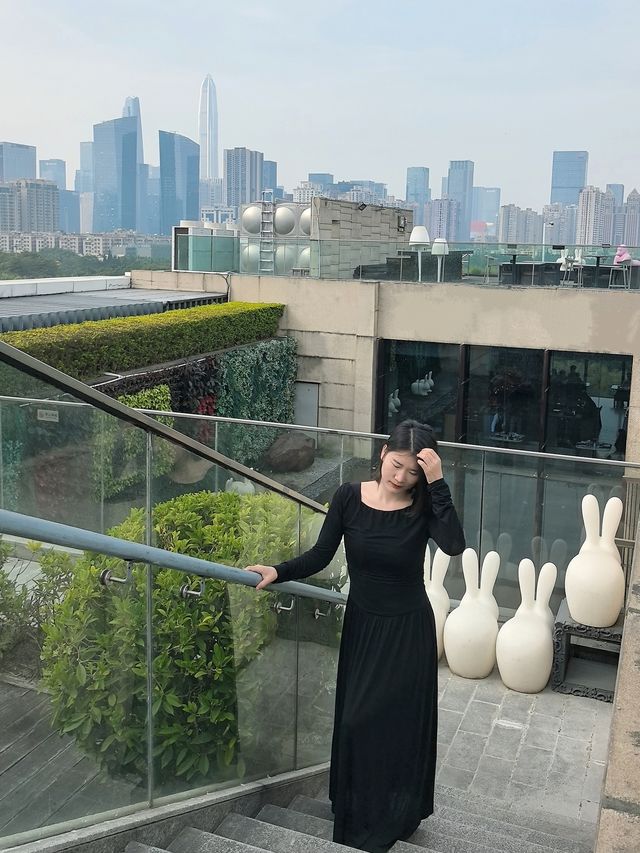 深圳回酒店| 現代和藝術的融合式hotel
