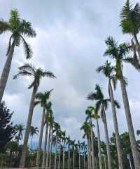 文昌  椰子大觀園