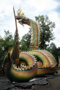 泰國最美寺廟之一🐉罕見的雌雄娜迦