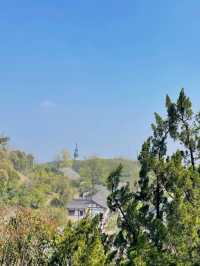 逃離城市喧囂，奔赴杭州徑山的詩意田園生活！