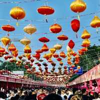 逛逛深圳2025迎春花市@羅湖愛國路花市