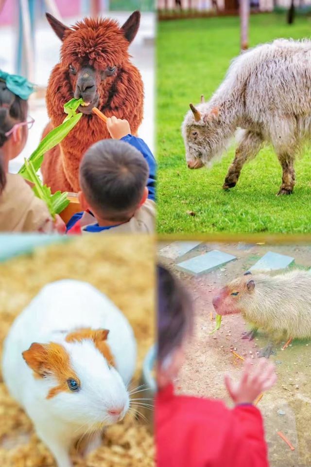 春節活動多多 | 快去湖北襄陽華僑城奇幻度假區玩吧！