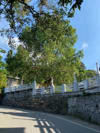 斯里蘭卡7日遊｜免簽出行 輕鬆暢玩