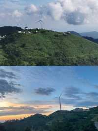 山楂樹之約，情定百里荒