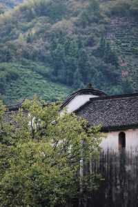 浙江諸暨|藏匿於深山裡的百年老建築