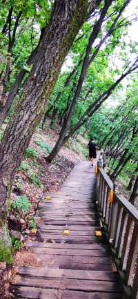 延吉•帽兒山國家森林公園