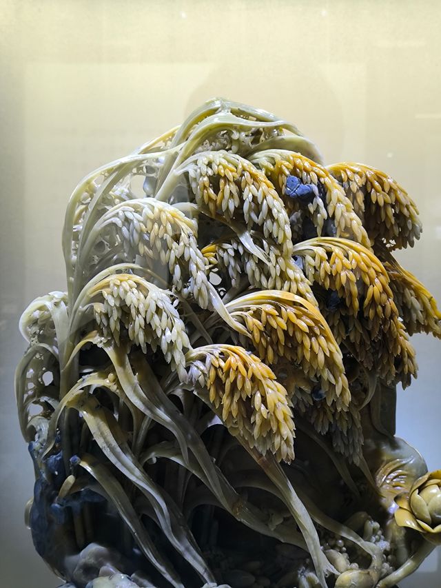 麗水三日行攝