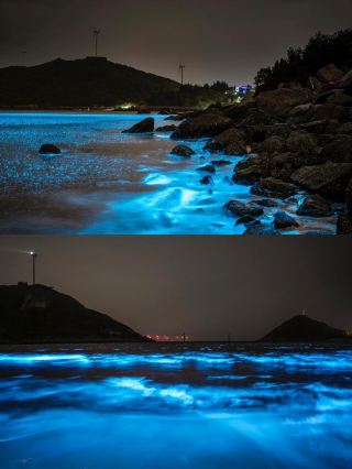 2025平潭藍眼淚最新追淚指南！這次真的別再錯過了